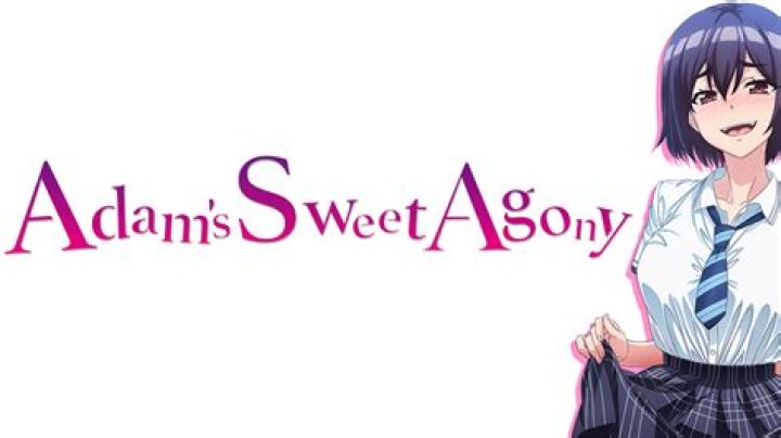 Discover Hidden Gems In "Adams Sweet Agony" Full Episodes
