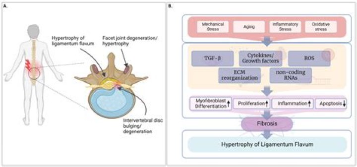 Uncovering Facts And Shattering Myths
