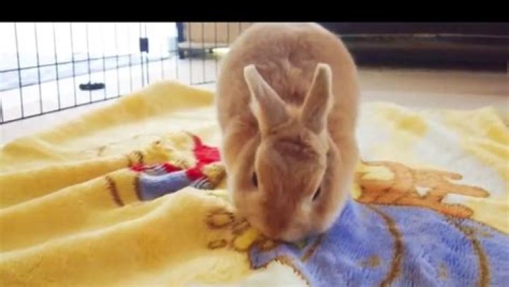 Discoveries And Insights From "Alone Time With Leila Leila Cove"