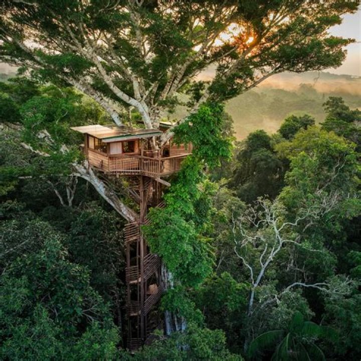 Unveiling The Secrets Of Amazon Treehouses: A Nature Lover's Paradise