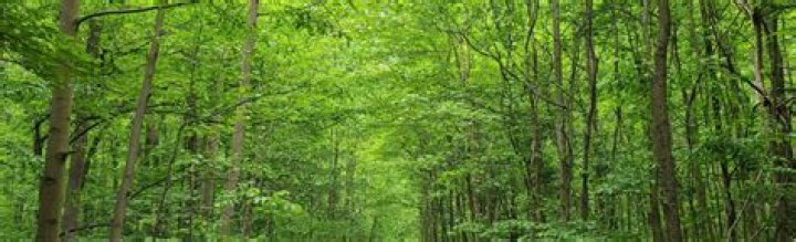 Photos Of Amberleigh Park: Capture The Beauty Of Nature