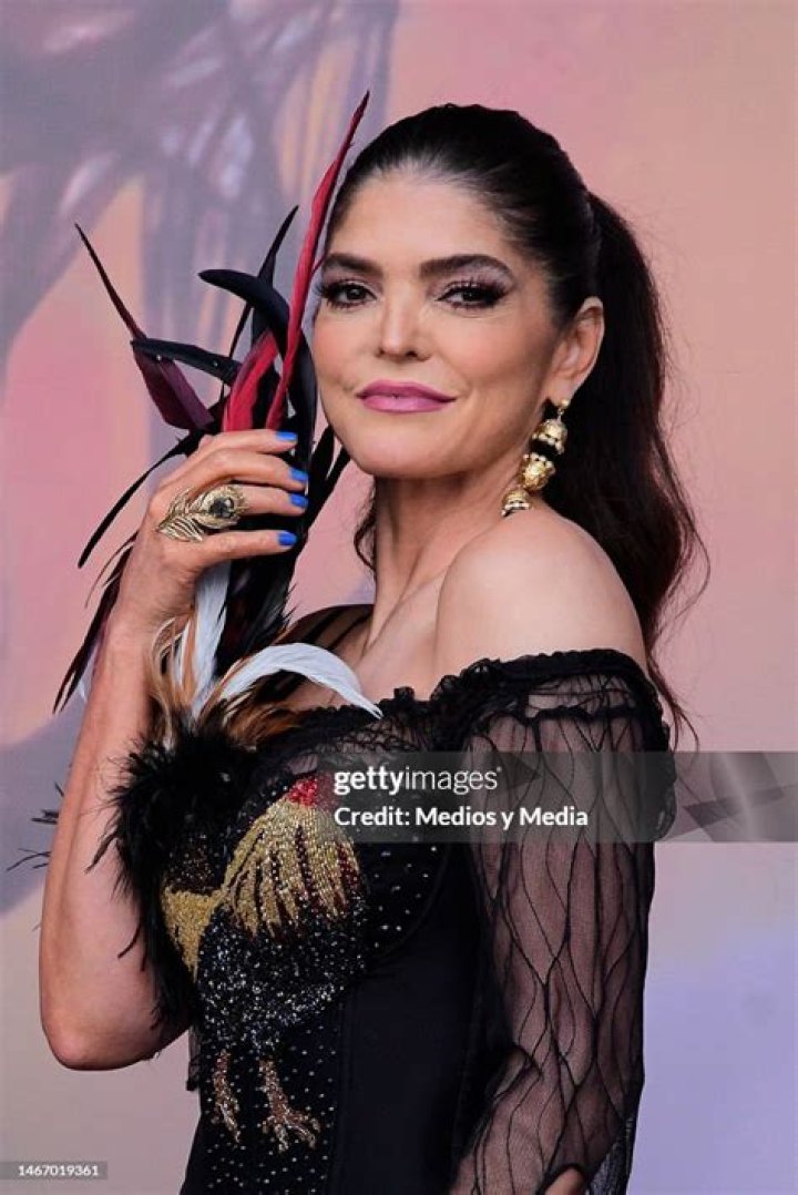 A Journey Through The Life And Career Of Ana Barbara