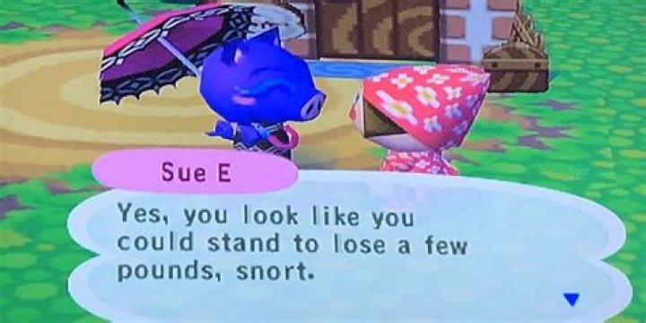 Sue E., The Relentless Bully Of Animal Crossing
