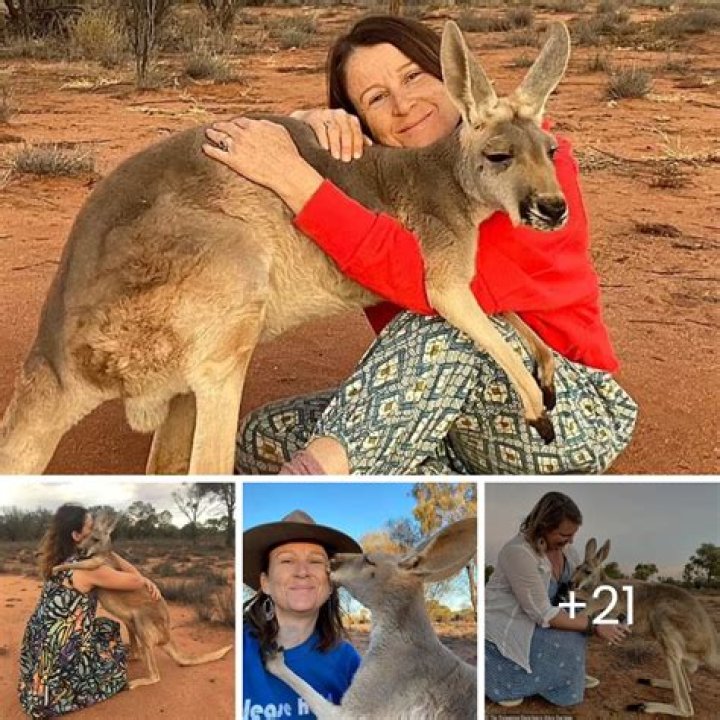 The Unbreakable Bond: A Timeless Love Story Between Two Exceptional Animals