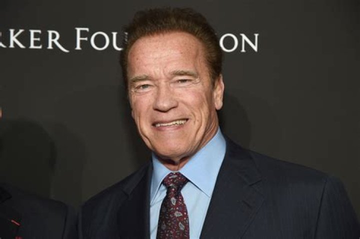 Unveiling The Multifaceted Wealth Of Arnold Schwarzenegger