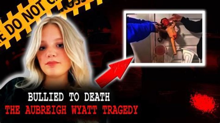 A Heartbreaking Discovery: The Aubreigh Wyatt Body Found Case