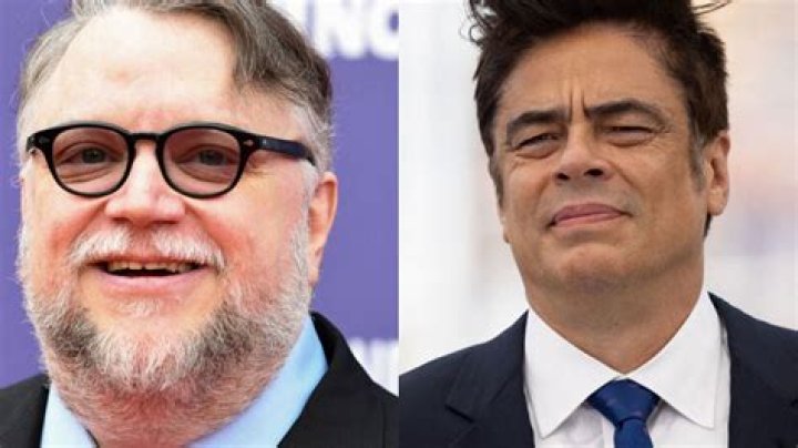 Exploring The Connection Between Benicio Del Toro And Guillermo Del Toro