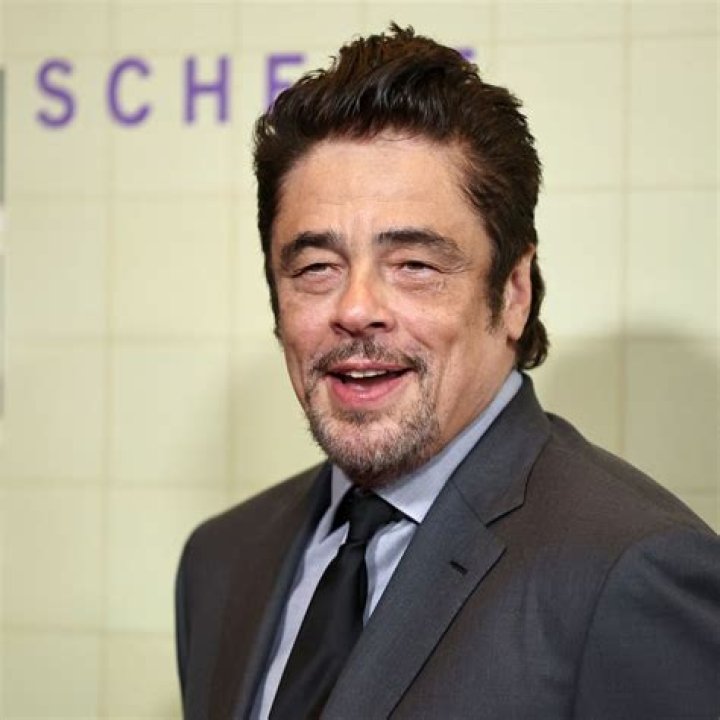 Exploring The Connection: Benicio Del Toro Related To Guillermo