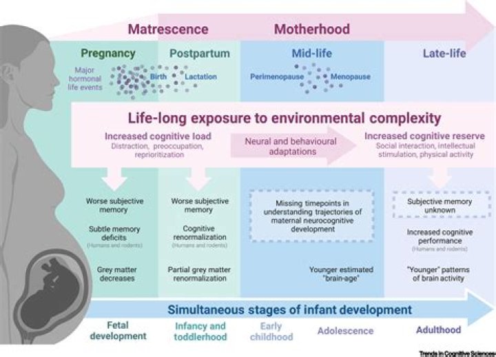 Discoveries And Insights On Motherhood And Empowerment