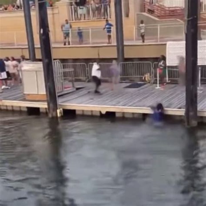 The Ultimate Guide To Black Guy Swimming To Fight