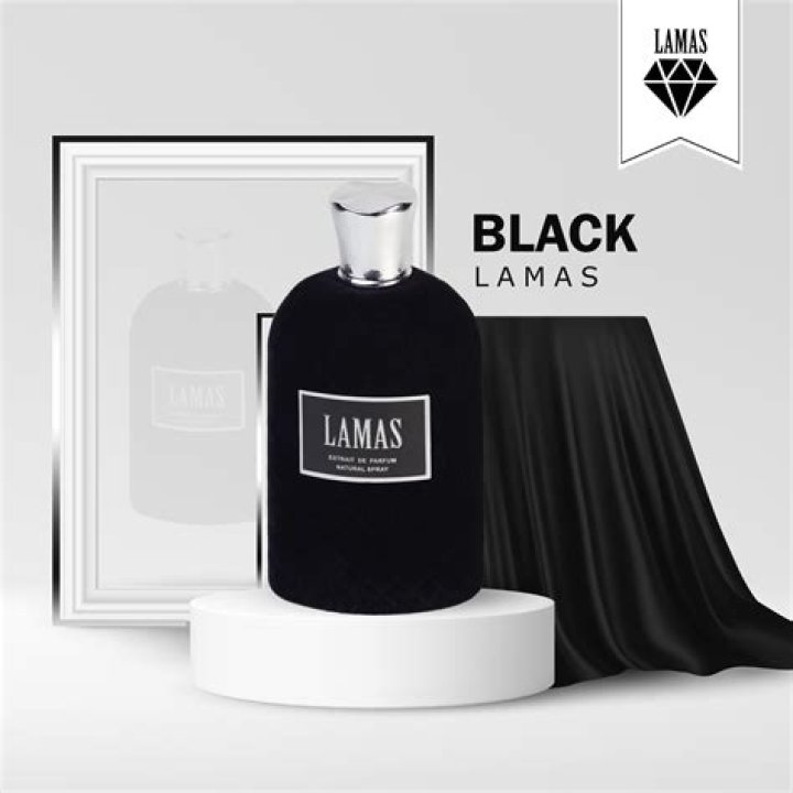 Unveiling The Enigma Of The Black Lamas, Keepers Of Ancient Secrets