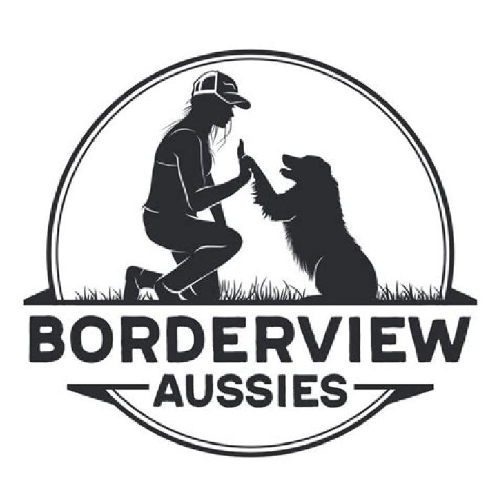The Ultimate Guide To Border Collie Puppies | Borderview Aussies