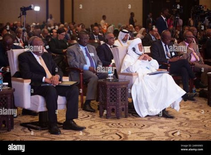 Brigi Rafini: Niger's Prime Minister