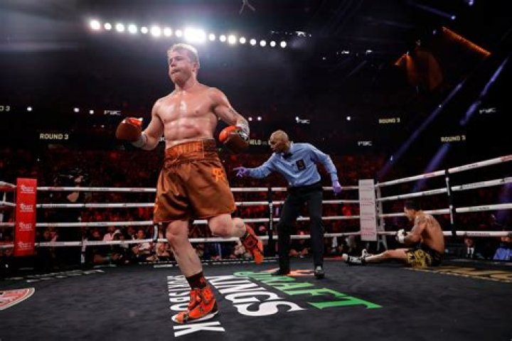 Canelo Alvarez: Anticipating His Next Fight
