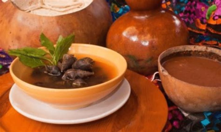 Discover The Enchanting Caracol De Chiapas: A Unique Sanctuary