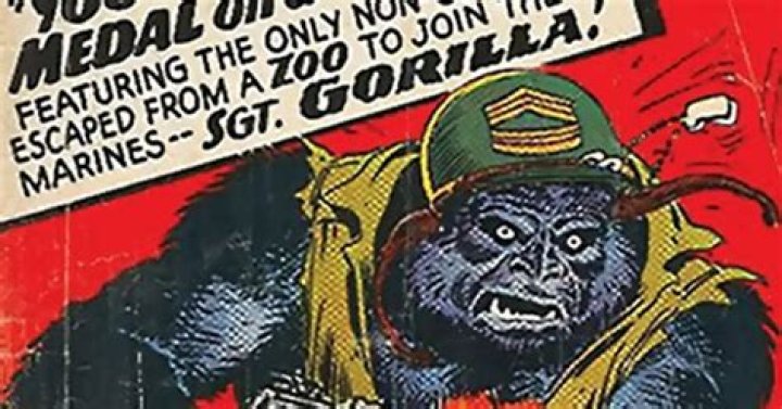 Meet Charlie The Famous Gorilla At The Washington, D.C. Zoo