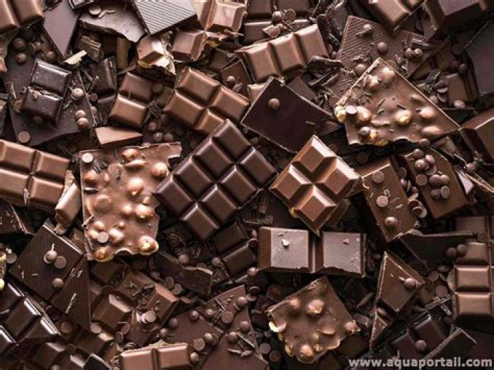 Delving Into The World Of Chocolat: A Sweet Journey
