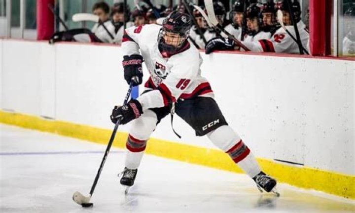 The Ultimate Chris Battaini Hockey Guide