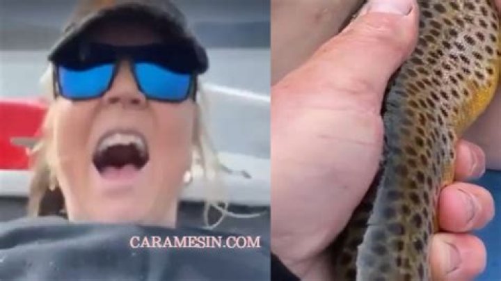 Unlocking The Power Of Clout For Trout: Discoveries And Insights