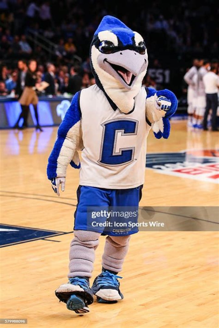 The Ultimate Guide To Creighton Bluejay Mascot