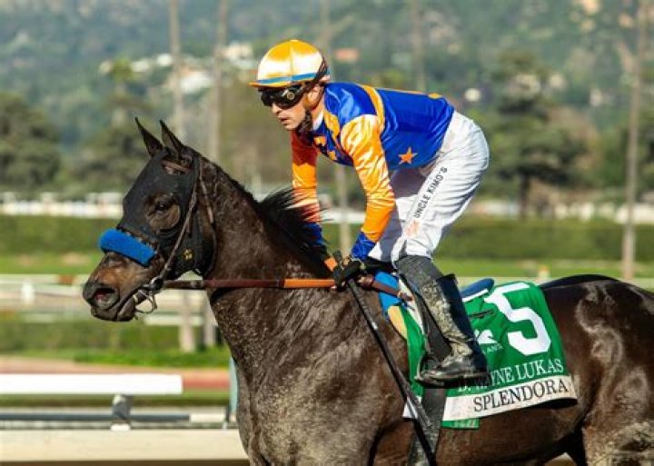 D Wayne Lukas: A Legendary Trainer In Horse Racing