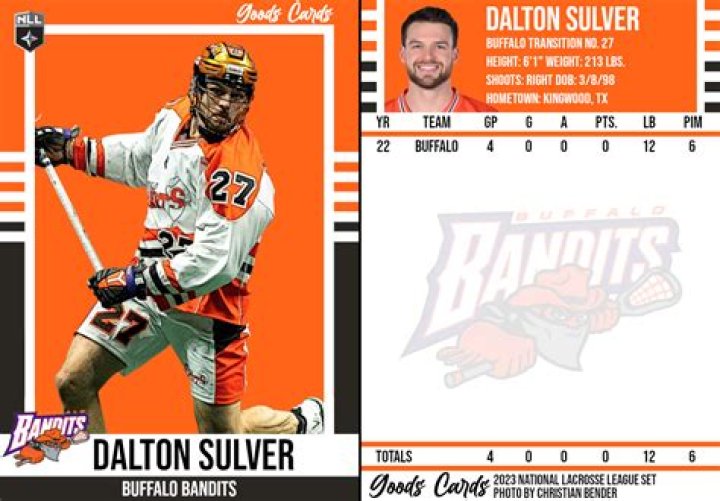 The Ultimate Guide To Dalton Sulver: Unlocking Your Artistic Potential