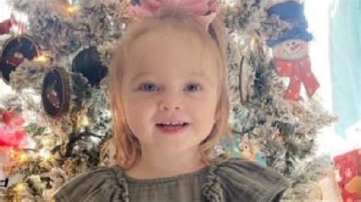 Unveiling The Botanical Masterpieces Of Delilah Ann Mollett