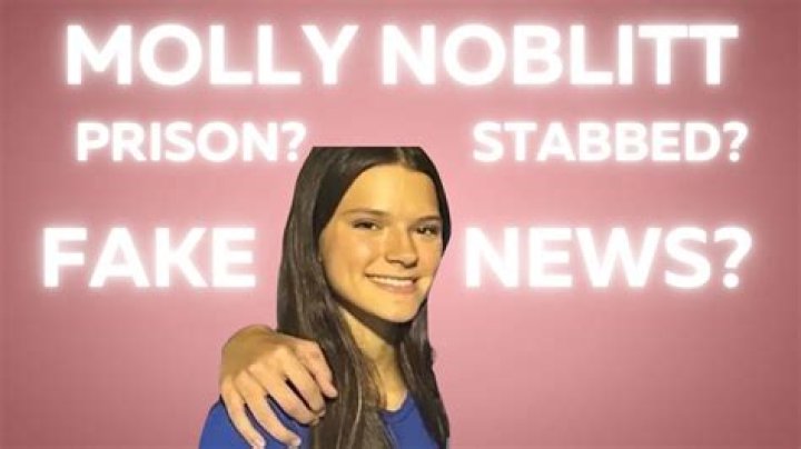 Unraveling The Mystery: Did Molly Noblitt Get Attacked?