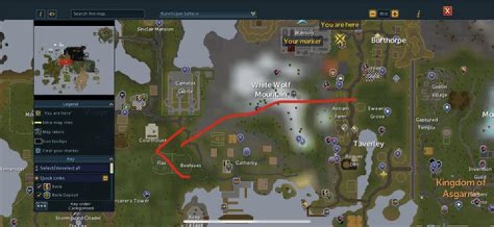 Understanding "Do I": A Deep Dive Into Self-Reflection