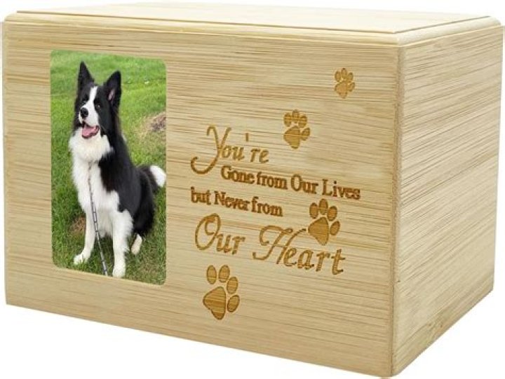Compassionate Dog Cremation Services In Lubbock