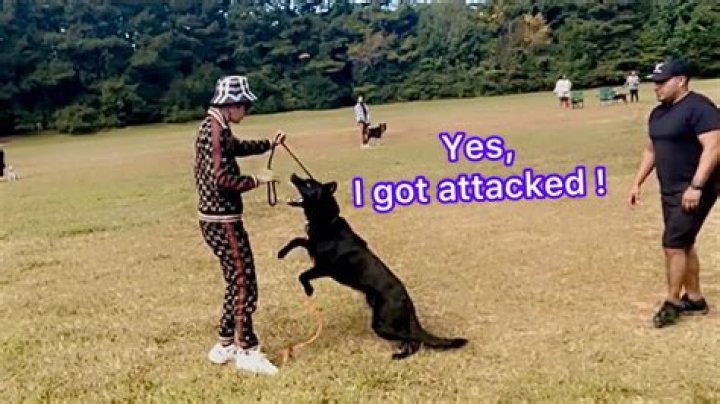 The Ultimate Guide To Being A Dog Daddy