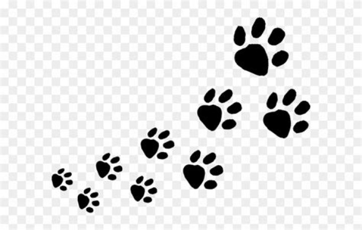 Exquisite Dog Footprints Clipart For Unique Creations