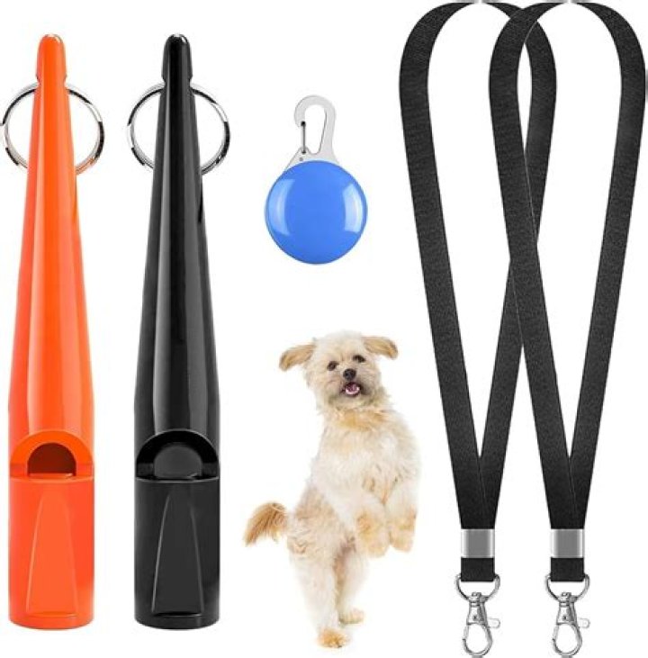 Dog Whistle: A Powerful Tool For Communication And Control