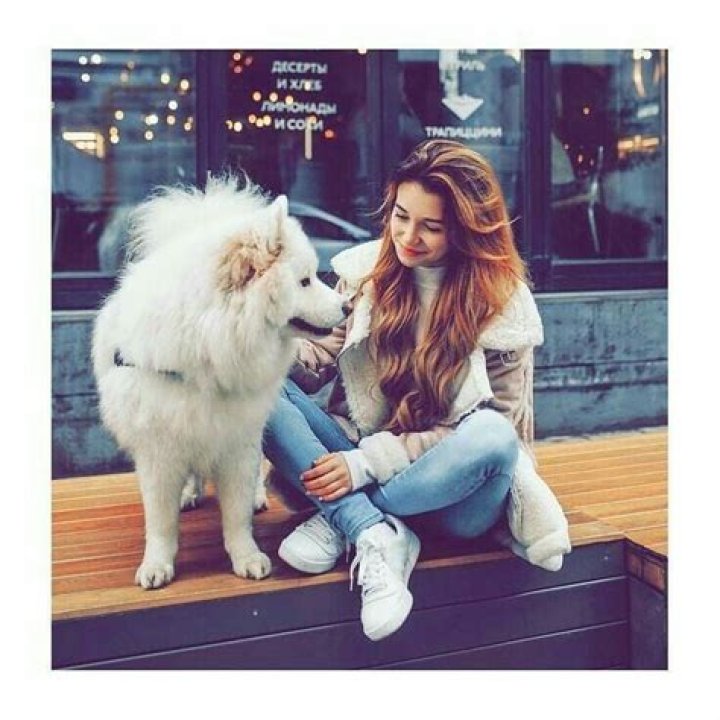 Unconditional Love: Embarking On The Paw-some Adventure With Your DP!