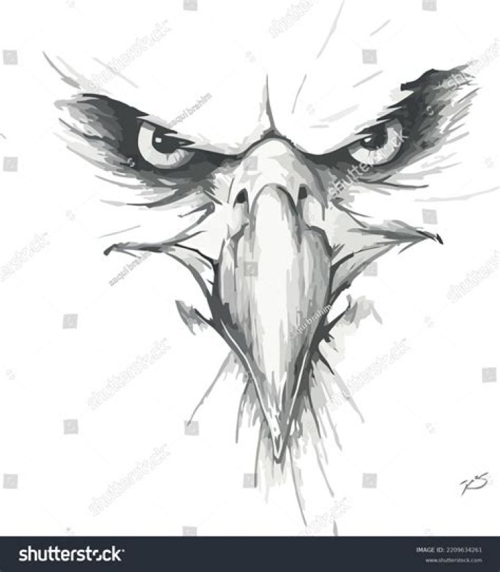 Masterful Eagle Eye Drawing: A Step-by-Step Guide