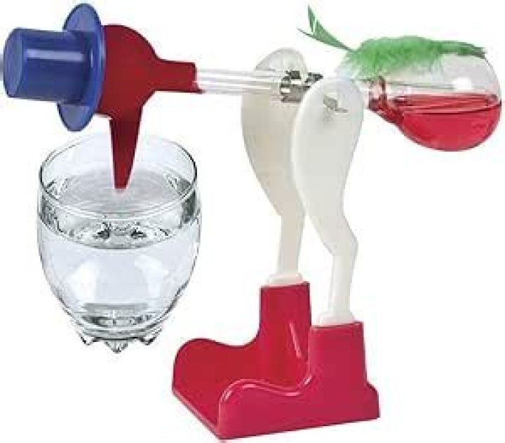 Find The Perfect Drinking Bird Today | Amazon's Top Picks