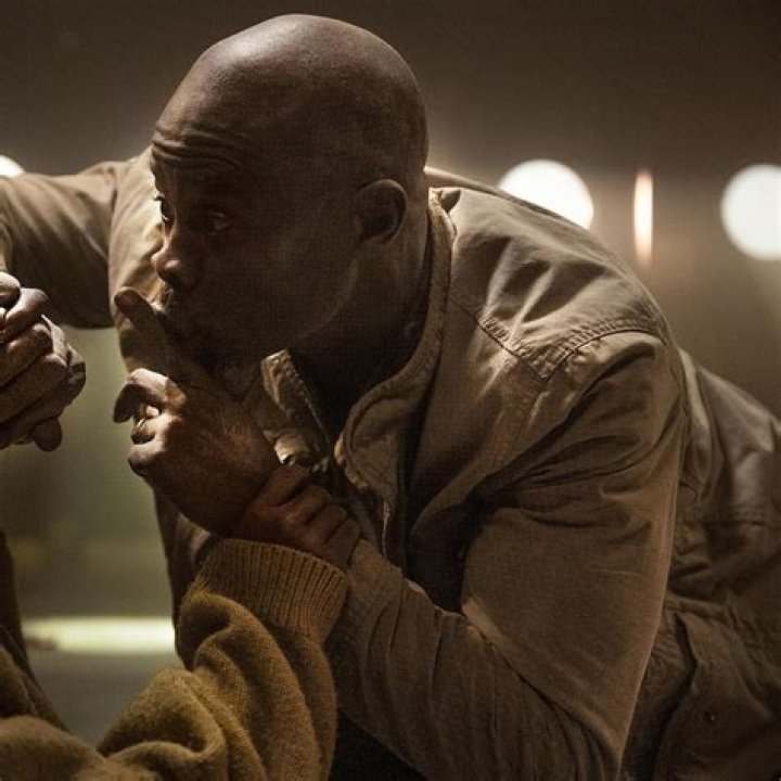 The Odyssey Of Edmond Hounsou