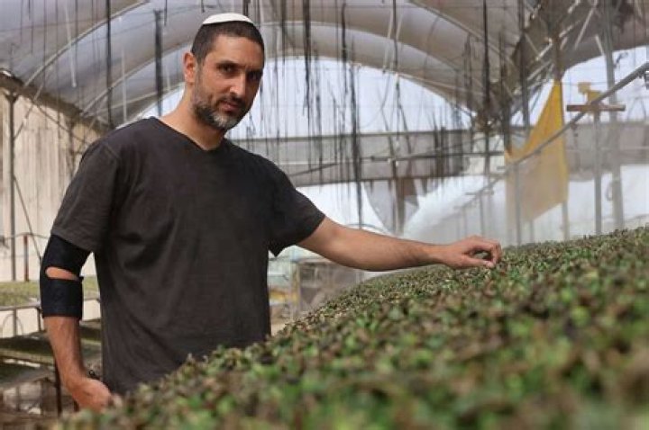 Meet Elad Cohen: Top-Rated Expert In Business And Technology