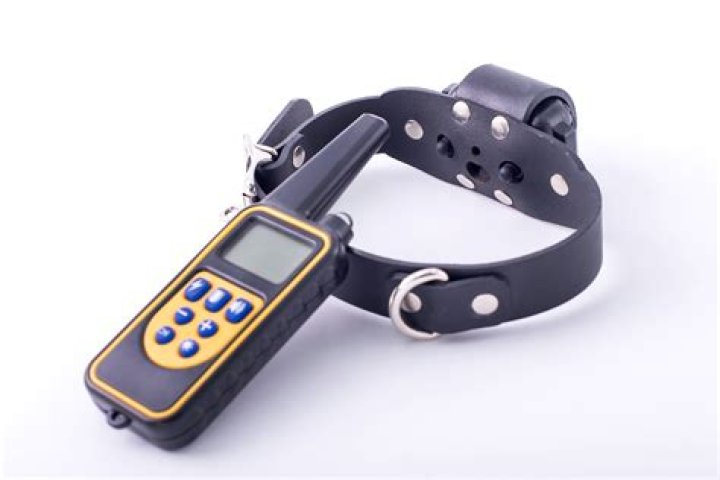 Unleash Remote Control Discipline: The Cutting-Edge Electric Collar For Humans