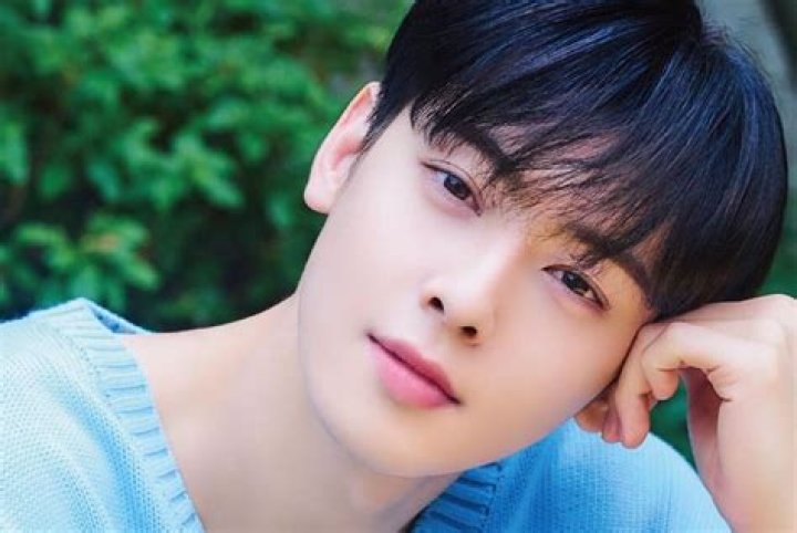 Eun Woo Engaged: Unveiling The Truth Behind The Rumors
