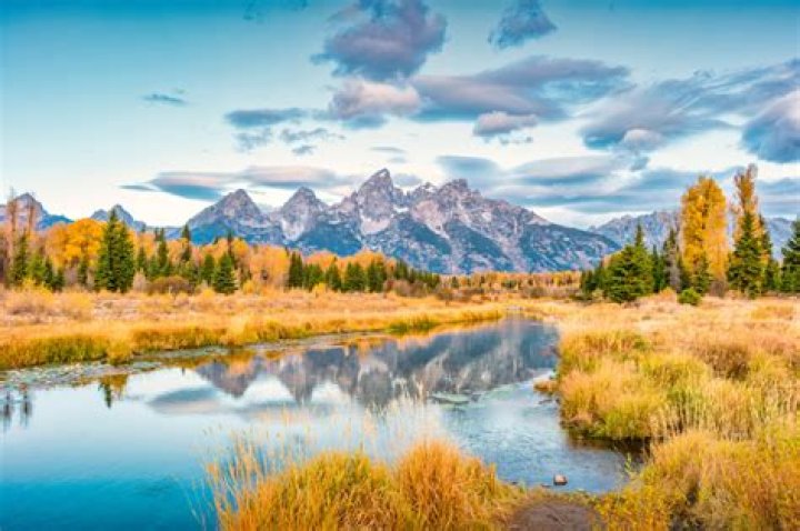 Fall Foliage In Wyoming: A Visual Feast Of Autumn Colors