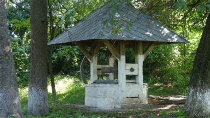 Discovering The Allure Of Fantana: A Journey Through Music And Culture