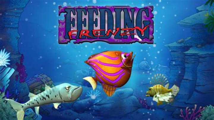 The Ultimate "Feeding Frenzy 9" Guide: Tips, Tricks, And Strategies