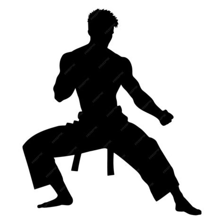 Explore The Dynamic Silhouette Of Fighters: A Comprehensive Guide