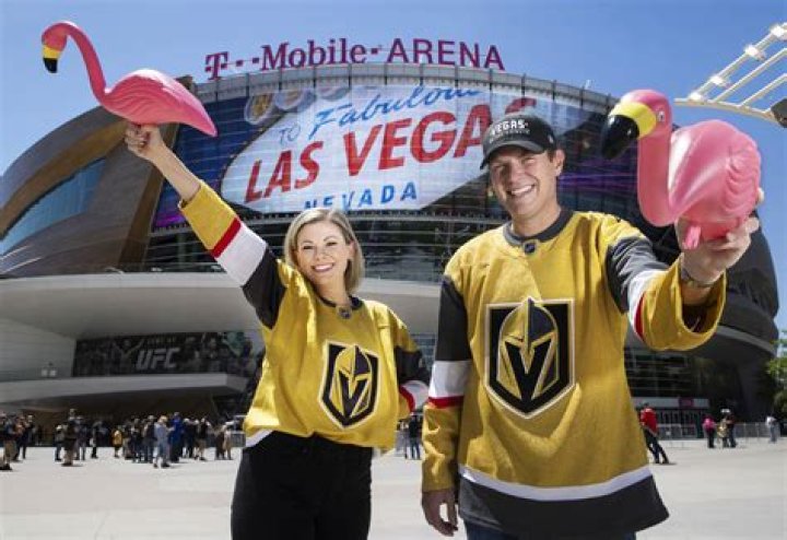 Dive Into The Majestic World Of The Golden Knights Flamingos
