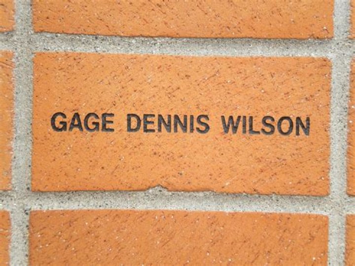 Gage Dennis Wilson: Facts About Dennis Wilson's Son