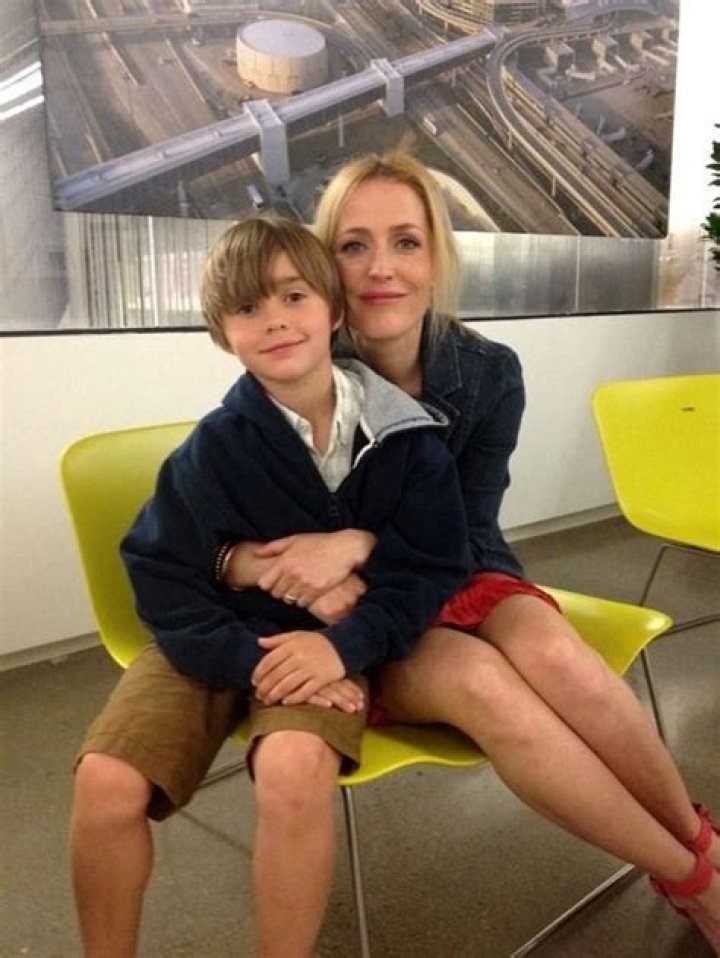 Unveiling The Life Of Gillian Anderson's Son