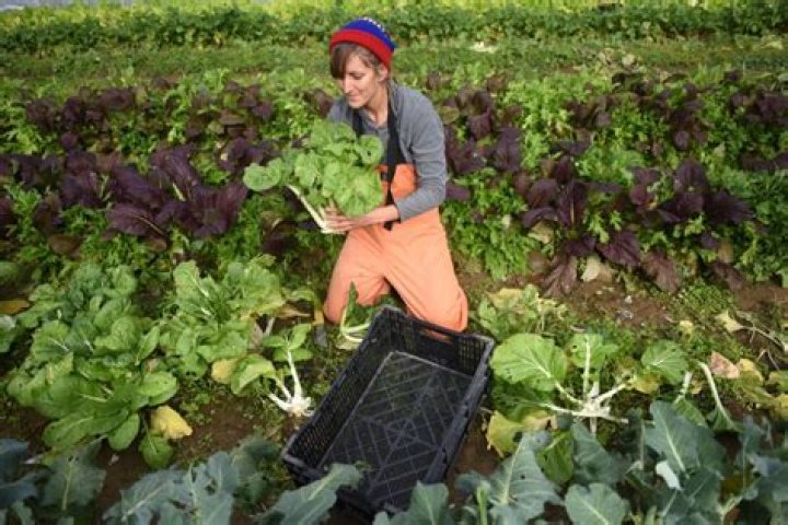 Discover The Renowned Actor Gino Kozera: Career And Achievements