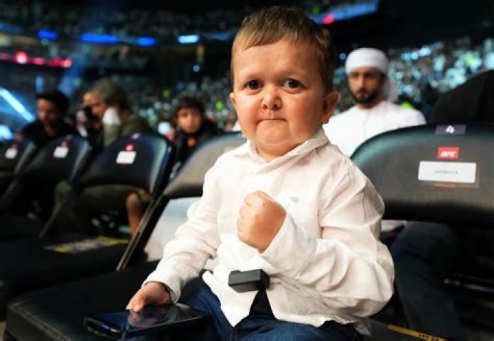 Hasbulla Magomedov: Is The Social Media Star Still Alive?