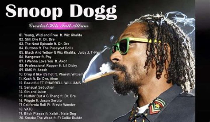 Snoop Dogg's Business Empire: How Many Does The Mogul Own?